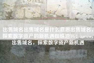 出售域名出售域名是什么意思出售域名，探索数字资产的新机遇蜘蛛池TG：zzcseo，出售域名，探索数字资产新机遇