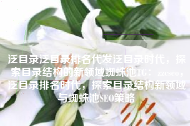 泛目录泛目录排名代发泛目录时代，探索目录结构的新领域蜘蛛池TG：zzcseo，泛目录排名时代，探索目录结构新领域与蜘蛛池SEO策略
