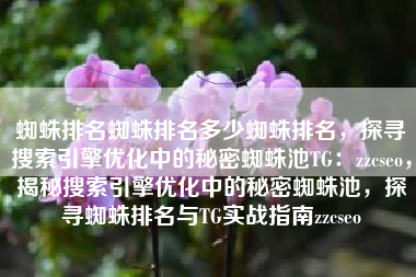 蜘蛛排名蜘蛛排名多少蜘蛛排名，探寻搜索引擎优化中的秘密蜘蛛池TG：zzcseo，揭秘搜索引擎优化中的秘密蜘蛛池，探寻蜘蛛排名与TG实战指南zzcseo