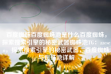 百度蜘蛛百度蜘蛛池是什么百度蜘蛛，探索搜索引擎的秘密武器蜘蛛池TG：zzcseo，探索搜索引擎的秘密武器，百度蜘蛛与蜘蛛池详解