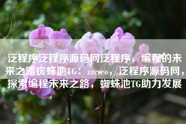 泛程序泛程序源码网泛程序，编程的未来之路蜘蛛池TG：zzcseo，泛程序源码网，探索编程未来之路，蜘蛛池TG助力发展