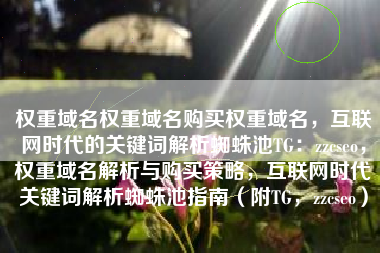 权重域名权重域名购买权重域名，互联网时代的关键词解析蜘蛛池TG：zzcseo，权重域名解析与购买策略，互联网时代关键词解析蜘蛛池指南（附TG，zzcseo）