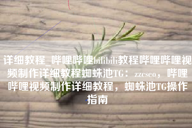 详细教程_哔哩哔哩bilibili教程哔哩哔哩视频制作详细教程蜘蛛池TG：zzcseo，哔哩哔哩视频制作详细教程，蜘蛛池TG操作指南