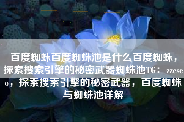 百度蜘蛛百度蜘蛛池是什么百度蜘蛛，探索搜索引擎的秘密武器蜘蛛池TG：zzcseo，探索搜索引擎的秘密武器，百度蜘蛛与蜘蛛池详解
