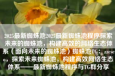 2025最新蜘蛛池2025最新蜘蛛池程序探索未来的蜘蛛池，构建高效的网络生态体系（面向未来的蜘蛛池）蜘蛛池TG：zzcseo，探索未来蜘蛛池，构建高效网络生态体系——最新蜘蛛池程序与TG群分享