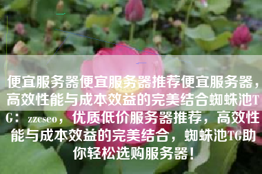 便宜服务器便宜服务器推荐便宜服务器，高效性能与成本效益的完美结合蜘蛛池TG：zzcseo，优质低价服务器推荐，高效性能与成本效益的完美结合，蜘蛛池TG助你轻松选购服务器！