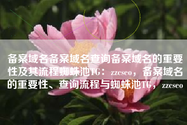 备案域名备案域名查询备案域名的重要性及其流程蜘蛛池TG：zzcseo，备案域名的重要性、查询流程与蜘蛛池TG，zzcseo