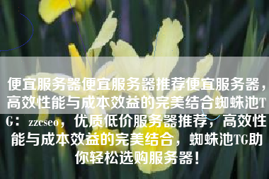 便宜服务器便宜服务器推荐便宜服务器，高效性能与成本效益的完美结合蜘蛛池TG：zzcseo，优质低价服务器推荐，高效性能与成本效益的完美结合，蜘蛛池TG助你轻松选购服务器！