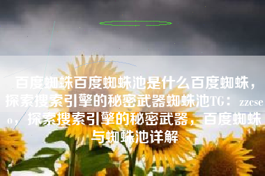 百度蜘蛛百度蜘蛛池是什么百度蜘蛛，探索搜索引擎的秘密武器蜘蛛池TG：zzcseo，探索搜索引擎的秘密武器，百度蜘蛛与蜘蛛池详解