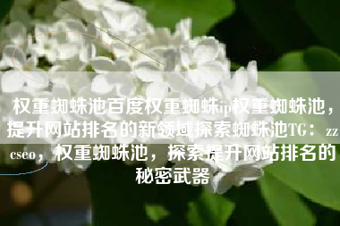 权重蜘蛛池百度权重蜘蛛ip权重蜘蛛池，提升网站排名的新领域探索蜘蛛池TG：zzcseo，权重蜘蛛池，探索提升网站排名的秘密武器