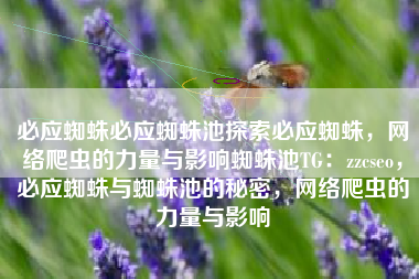 必应蜘蛛必应蜘蛛池探索必应蜘蛛，网络爬虫的力量与影响蜘蛛池TG：zzcseo，必应蜘蛛与蜘蛛池的秘密，网络爬虫的力量与影响