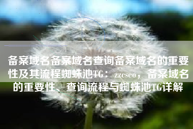 备案域名备案域名查询备案域名的重要性及其流程蜘蛛池TG：zzcseo，备案域名的重要性、查询流程与蜘蛛池TG详解