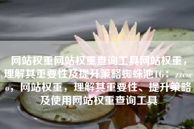 网站权重网站权重查询工具网站权重，理解其重要性及提升策略蜘蛛池TG：zzcseo，网站权重，理解其重要性、提升策略及使用网站权重查询工具