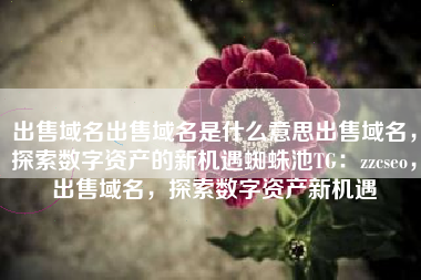 出售域名出售域名是什么意思出售域名，探索数字资产的新机遇蜘蛛池TG：zzcseo，出售域名，探索数字资产新机遇