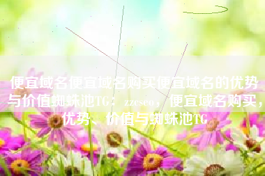 便宜域名便宜域名购买便宜域名的优势与价值蜘蛛池TG：zzcseo，便宜域名购买，优势、价值与蜘蛛池TG