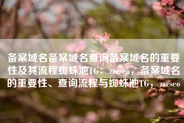 备案域名备案域名查询备案域名的重要性及其流程蜘蛛池TG：zzcseo，备案域名的重要性、查询流程与蜘蛛池TG，zzcseo