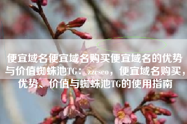 便宜域名便宜域名购买便宜域名的优势与价值蜘蛛池TG：zzcseo，便宜域名购买，优势、价值与蜘蛛池TG的使用指南