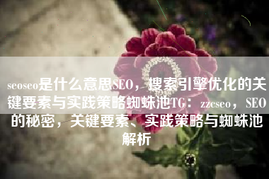 seoseo是什么意思SEO，搜索引擎优化的关键要素与实践策略蜘蛛池TG：zzcseo，SEO的秘密，关键要素、实践策略与蜘蛛池解析