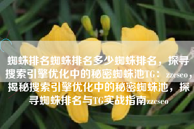 蜘蛛排名蜘蛛排名多少蜘蛛排名，探寻搜索引擎优化中的秘密蜘蛛池TG：zzcseo，揭秘搜索引擎优化中的秘密蜘蛛池，探寻蜘蛛排名与TG实战指南zzcseo