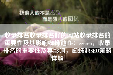 收录排名收录排名好的网站收录排名的重要性及其影响蜘蛛池TG：zzcseo，收录排名的重要性及其影响，蜘蛛池SEO策略详解