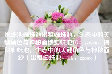 蜘蛛池蜘蛛池出租蜘蛛池，生态中的关键角色与神秘面纱蜘蛛池TG：zzcseo，揭秘蜘蛛池，生态中的关键角色与神秘面纱（出租蜘蛛池，TG，zzcseo）