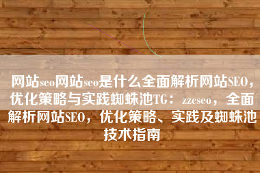 网站seo网站seo是什么全面解析网站SEO，优化策略与实践蜘蛛池TG：zzcseo，全面解析网站SEO，优化策略、实践及蜘蛛池技术指南