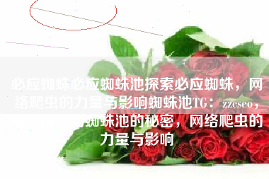 必应蜘蛛必应蜘蛛池探索必应蜘蛛，网络爬虫的力量与影响蜘蛛池TG：zzcseo，必应蜘蛛与蜘蛛池的秘密，网络爬虫的力量与影响