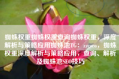 蜘蛛权重蜘蛛权重查询蜘蛛权重，深度解析与策略应用蜘蛛池TG：zzcseo，蜘蛛权重深度解析与策略应用，查询、解析及蜘蛛池SEO技巧