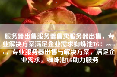 服务器出售服务器售卖服务器出售，专业解决方案满足企业需求蜘蛛池TG：zzcseo，专业服务器出售与解决方案，满足企业需求，蜘蛛池TG助力服务