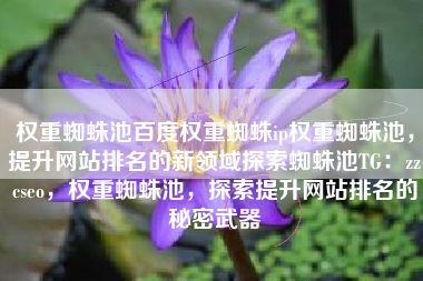 权重蜘蛛池百度权重蜘蛛ip权重蜘蛛池，提升网站排名的新领域探索蜘蛛池TG：zzcseo，权重蜘蛛池，探索提升网站排名的秘密武器