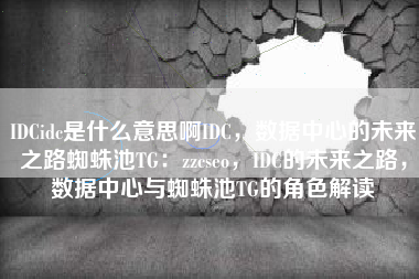 IDCidc是什么意思啊IDC，数据中心的未来之路蜘蛛池TG：zzcseo，IDC的未来之路，数据中心与蜘蛛池TG的角色解读
