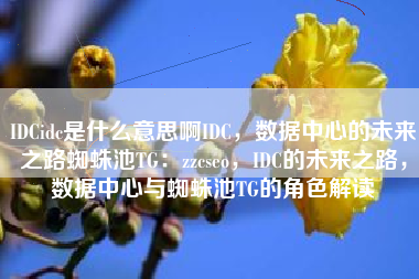 IDCidc是什么意思啊IDC，数据中心的未来之路蜘蛛池TG：zzcseo，IDC的未来之路，数据中心与蜘蛛池TG的角色解读