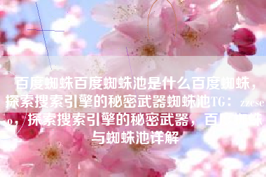 百度蜘蛛百度蜘蛛池是什么百度蜘蛛，探索搜索引擎的秘密武器蜘蛛池TG：zzcseo，探索搜索引擎的秘密武器，百度蜘蛛与蜘蛛池详解