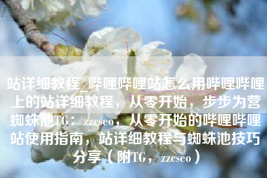 站详细教程_哔哩哔哩站怎么用哔哩哔哩上的站详细教程，从零开始，步步为营蜘蛛池TG：zzcseo，从零开始的哔哩哔哩站使用指南，站详细教程与蜘蛛池技巧分享（附TG，zzcseo）
