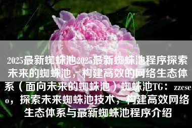 2025最新蜘蛛池2025最新蜘蛛池程序探索未来的蜘蛛池，构建高效的网络生态体系（面向未来的蜘蛛池）蜘蛛池TG：zzcseo，探索未来蜘蛛池技术，构建高效网络生态体系与最新蜘蛛池程序介绍