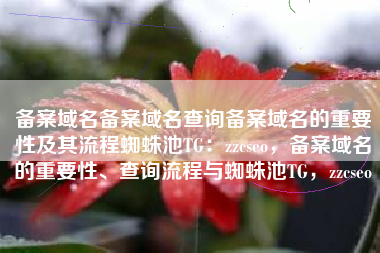 备案域名备案域名查询备案域名的重要性及其流程蜘蛛池TG：zzcseo，备案域名的重要性、查询流程与蜘蛛池TG，zzcseo