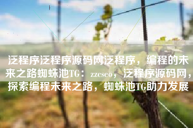 泛程序泛程序源码网泛程序，编程的未来之路蜘蛛池TG：zzcseo，泛程序源码网，探索编程未来之路，蜘蛛池TG助力发展