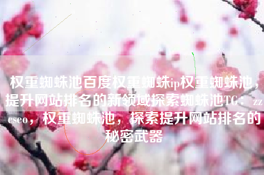 权重蜘蛛池百度权重蜘蛛ip权重蜘蛛池，提升网站排名的新领域探索蜘蛛池TG：zzcseo，权重蜘蛛池，探索提升网站排名的秘密武器