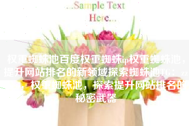 权重蜘蛛池百度权重蜘蛛ip权重蜘蛛池，提升网站排名的新领域探索蜘蛛池TG：zzcseo，权重蜘蛛池，探索提升网站排名的秘密武器