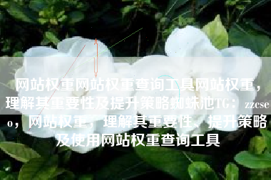 网站权重网站权重查询工具网站权重，理解其重要性及提升策略蜘蛛池TG：zzcseo，网站权重，理解其重要性、提升策略及使用网站权重查询工具