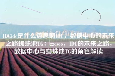 IDCidc是什么意思啊IDC，数据中心的未来之路蜘蛛池TG：zzcseo，IDC的未来之路，数据中心与蜘蛛池TG的角色解读