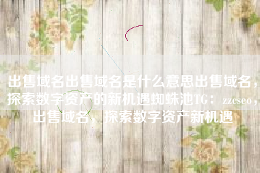 出售域名出售域名是什么意思出售域名，探索数字资产的新机遇蜘蛛池TG：zzcseo，出售域名，探索数字资产新机遇