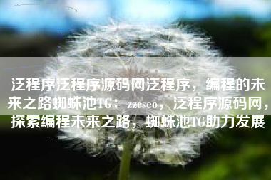 泛程序泛程序源码网泛程序，编程的未来之路蜘蛛池TG：zzcseo，泛程序源码网，探索编程未来之路，蜘蛛池TG助力发展