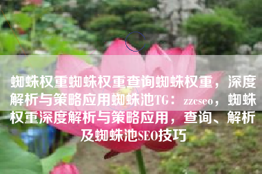 蜘蛛权重蜘蛛权重查询蜘蛛权重，深度解析与策略应用蜘蛛池TG：zzcseo，蜘蛛权重深度解析与策略应用，查询、解析及蜘蛛池SEO技巧