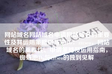 网站域名网站域名申请网站域名的重要性及其运用策略蜘蛛池TG：zzcseo，网站域名的重要性、申请策略及运用指南，蜘蛛池TG与zzcseo的独到见解