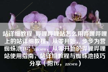站详细教程_哔哩哔哩站怎么用哔哩哔哩上的站详细教程，从零开始，步步为营蜘蛛池TG：zzcseo，从零开始的哔哩哔哩站使用指南，站详细教程与蜘蛛池技巧分享（附TG，zzcseo）