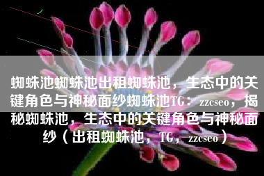 蜘蛛池蜘蛛池出租蜘蛛池，生态中的关键角色与神秘面纱蜘蛛池TG：zzcseo，揭秘蜘蛛池，生态中的关键角色与神秘面纱（出租蜘蛛池，TG，zzcseo）