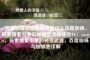 百度蜘蛛百度蜘蛛池是什么百度蜘蛛，探索搜索引擎的秘密武器蜘蛛池TG：zzcseo，探索搜索引擎的秘密武器，百度蜘蛛与蜘蛛池详解