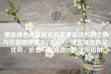 便宜域名便宜域名购买便宜域名的优势与价值蜘蛛池TG：zzcseo，便宜域名购买，优势、价值与蜘蛛池TG的使用指南