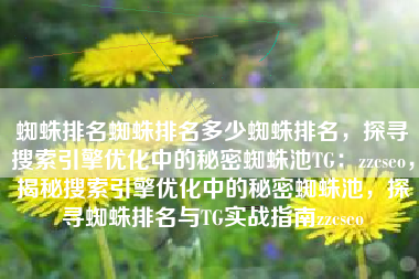 蜘蛛排名蜘蛛排名多少蜘蛛排名，探寻搜索引擎优化中的秘密蜘蛛池TG：zzcseo，揭秘搜索引擎优化中的秘密蜘蛛池，探寻蜘蛛排名与TG实战指南zzcseo